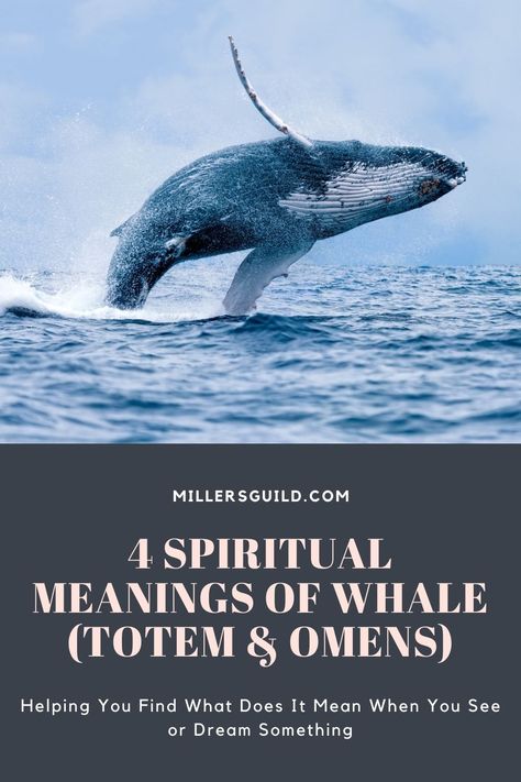 4 Spiritual Meanings of Whale (Totem & Omens) 1 Whale Spiritual Meaning, Whale Symbolism Meaning, Watercolor Whale Tattoo, Whale Spirit Animal Meaning, Humpback Whale Tail Tattoo, Whale Tattoo Meaning, Whale Shark Tattoo Meaning, Gray Whale Tattoo, Whale Tail Meaning