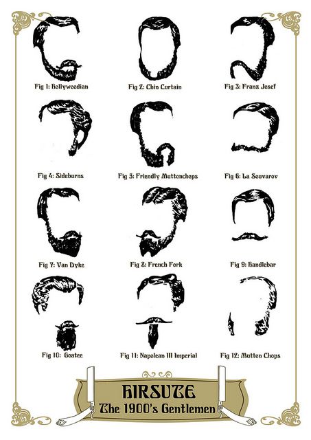 Hirsute - The1900's Gentlemen Cowboy Facial Hair, Hair Infographic, Beard Styling, Beard Illustration, Mutton Chops, Mens Facial, Beard Style, Moustaches, Mens Cuts