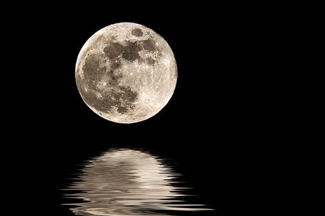 We only get to see one side of the moon -- this side.  The other side is never facing the earth. Full Moon Photos, Tattoos Infinity, Shoot The Moon, Moon Shadow, Moon Photos, Moon Moon, Moon Pictures, Super Moon, The Full Moon