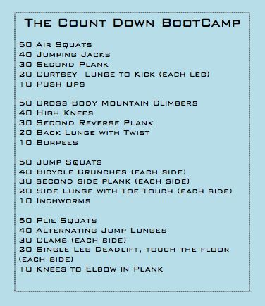 Wods Crossfit, Bootcamp Workout, Plie Squats, Body Guide, Military Workout, Boot Camp Workout, Wellness Recipes, Circuit Workout, Crossfit Workouts