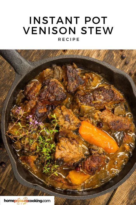 venison stew with vegetables and garnish Venison Recipes Instant Pot, Venison Stew Instant Pot, Instant Pot Venison Stew, Instant Pot Venison Recipes, Venison Instant Pot Recipes, Ground Venison Stew, Venison Stew Meat Recipes, Venison Stew Recipes, Venison Bacon