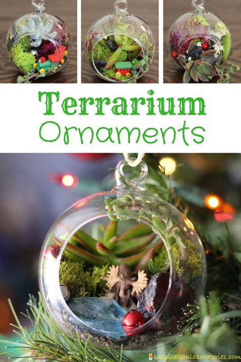 Diy Terrarium Ornament, Air Plant Christmas Ornaments, Terrarium Christmas Ornaments Diy, Biology Ornaments Diy, Terrarium Ornaments Christmas, Succulent Ornament Christmas, Terrarium Christmas Ideas, Science Ornaments Diy, Biology Christmas Ornaments