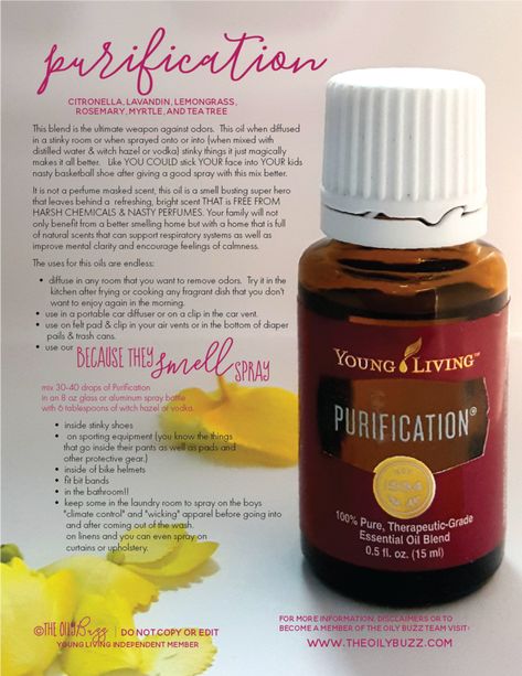 Young Living Purification, Purification Oil, Purification Essential Oil, Young Living Oils Recipes, Living Oils Recipes, Living Essentials Oils, Plant Therapy, Young Living Oils, Toxin Free