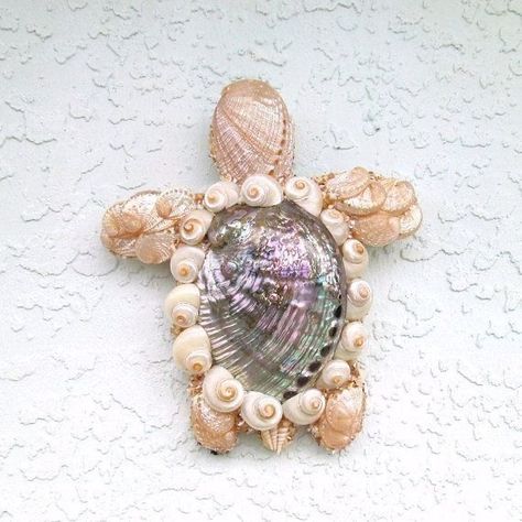 Seashell Turtle, Shell Wall Hanging, Seashell Art Diy, Shell Animals, Beach Glass Crafts, Driftwood Art Diy, Seashell Projects, Art Coquillage, Shells Diy