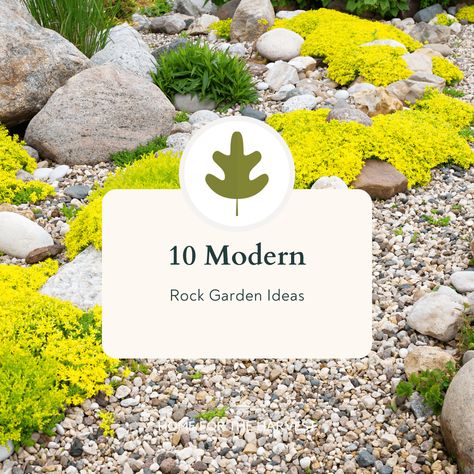 Rock Garden Next To Driveway, Modern Rockery Garden Ideas Uk, Creating A Rock Garden, Pebble Garden Ideas Landscaping, Zen Rock Garden Landscaping, Rectangle Rock Garden Ideas, Modern Rockery Garden Ideas, Pebble Stone Landscaping, Low Maintenance Rock Garden Ideas