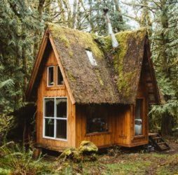 Build Your Own Cabin, Wood Siding Exterior, Wooden House Design, Forest Cottage, Off Grid Cabin, Roofing Diy, Little Cabin, Tiny Cabin, Log Cabin Homes