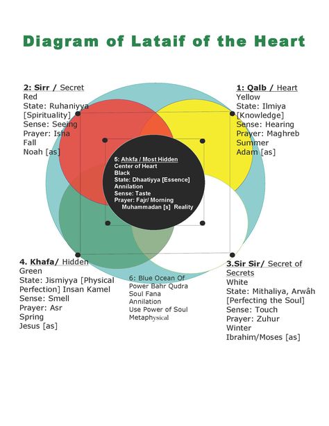 Levels of the Heart and 9 Points and Secrets of the Cave Sufi Islam, Ali Islam, Muslim Parenting, Ignorant People, Name Of Allah, Evening Prayer, Spirit Science, Night Prayer, The Secret Book