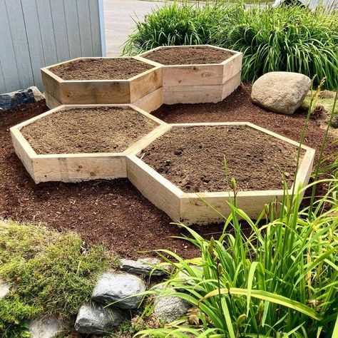 Cool Raised Garden Beds, Hexagon Raised Bed, Hexagonal Raised Garden Beds, Alternative Raised Garden Beds, Island Garden Bed Shapes, Modern Raised Flower Beds, Garden Box Design Layout, Pentagon Garden Bed, Raised Garden Beds Front Yard