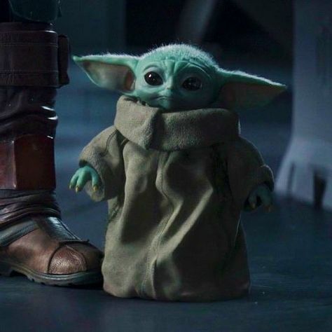 Bebek Yoda, Yoda Pictures, Yoda Meme, Yoda Wallpaper, Yoda Funny, Rey Star Wars, Star Wars Wallpaper, Star Wars Yoda, Star Wars Images