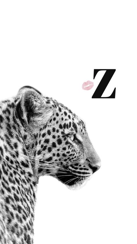 🤍🤍🤍🤍 Z Initial Wallpaper, Initial Wallpaper, Glamour Wallpaper, Dior Wallpaper, Cheetah Wallpaper, Leopard Print Wallpaper, Wallpaper Background Design, Tiger Wallpaper, Z Wallpaper