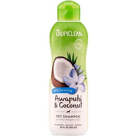 TropiClean Awapuhi and Coconut Pet Shampoo, 20oz *** Click image for more details. (This is an affiliate link) #Grooming Coconut Shampoo, Coconut Leaves, Cat Shampoo, Natural Protein, Pet Shampoo, Natural Shampoo, Dog Shampoo, Plant Protein, Cat Grooming