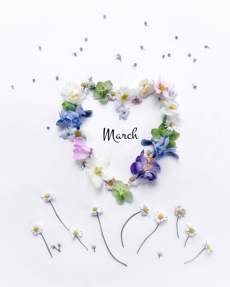 3,270 mentions J’aime, 223 commentaires - Béa (@bea7507) sur Instagram : "Welcome March 🌸🌱🌼#hellomarch  Wish you a wonderful month🍃#inspiredbypetals . . . . . . . . . . . .…" Happy March, Hello March, Easter Wallpaper, March Month, Days And Months, Floral Border Design, First Day Of Spring, Wreath Watercolor, Open Arms