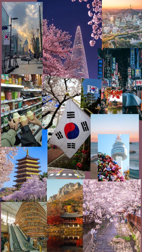 Japan Places To Visit, South Korea Photography, Seoul Korea Travel, Korea Wallpaper, Travel Collage, South Korea Seoul, South Korea Travel, Flowers Photography Wallpaper, Cute Animal Clipart