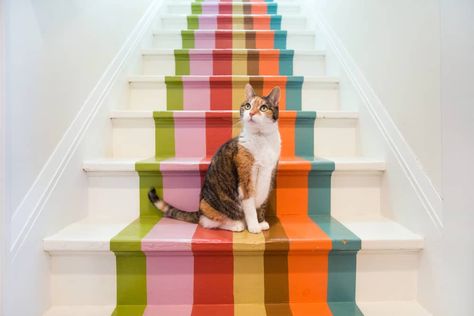 Colorful Home Upgrades | Apartment Therapy Stairs Painted, Stairwell Ideas, Stairs Carpet, Green Bedroom Design, Stair Cases, Stair Ideas, Staircase Runner, Checkerboard Floor, Design Darling