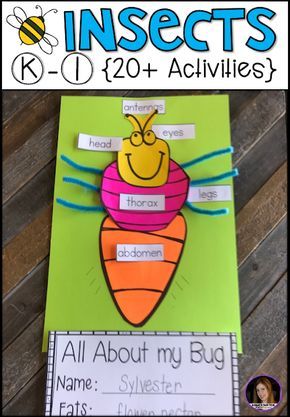 Insect {20+ Activities} for Kindergarten. Are you looking for a factual unit to introduce insects in your kindergarten and first grade classroom? Our insect unit is just what you need! Insects Kindergarten, Bug Activities, Insect Unit, Insects Preschool, Bugs Preschool, Insect Activities, Kindergarten Rocks, Insect Crafts, 1st Grade Science