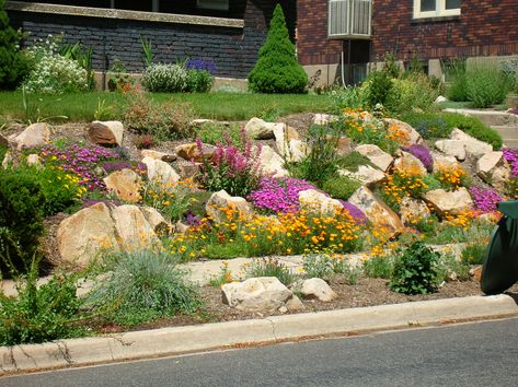 Drought Landscaping, Drought Tolerant Landscape Design, Waterwise Landscaping, Xeriscape Front Yard, Drought Resistant Landscaping, Corkboard Ideas, Plants Landscape, Water Wise Landscaping, Material Ideas