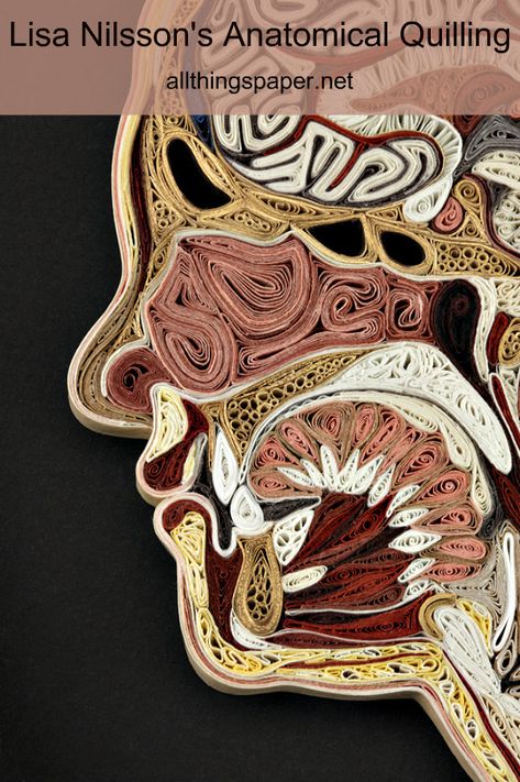 This densely quilled head by paper artist Lisa Nilsson is included in a profile about her mulberry paper Tissue Series. #quilling #paperquilling Travis Bedel, Fat Yoga, High School Art Lessons, High School Art Projects, Art Quilling, Quilled Paper Art, Human Anatomy Art, Fat Workout, Paper Quilling Designs