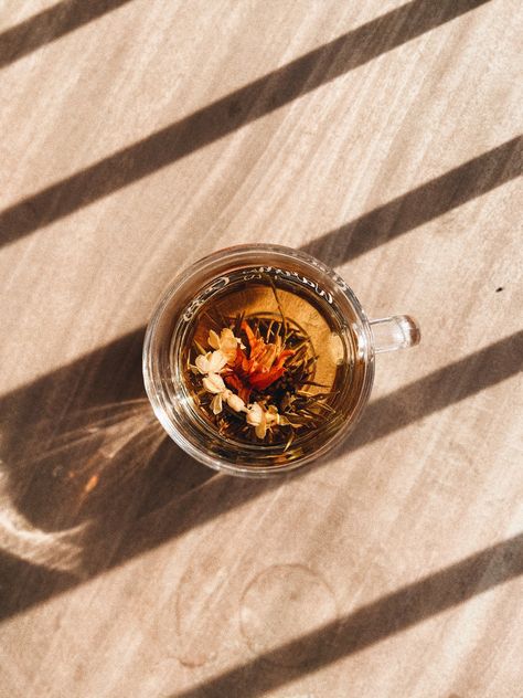 Jasmine blooming flower tea Blooming Flower Tea, Blooming Tea, Flower Tea, Blooming Flowers, Tea, Flowers