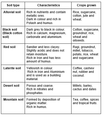 Soil is an important natural resource. Plants need soil to grow. Microscopic organisms such as bacteria, fungi, microscopic algae and protozoa live in the soil. Soil beetles, soil mites, earthworms, nematodes, millipedes, centipedes, ants and termites also live in the soil. Types Of Soil Chart, Fungi Microscopic, Soil Mites, Earth's Atmosphere Layers, Soil Classification, Microscopic Algae, Microbiology Study, Basic Geography, Soil Science