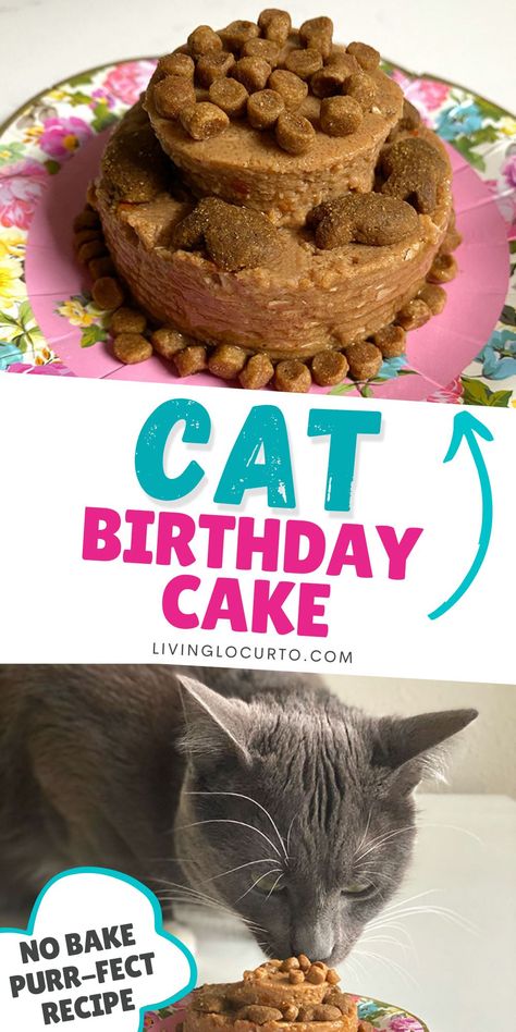 Cat Cakes For Cats, Cat 1st Birthday Party, Diy Cat Birthday, Ideas For My Cats Birthday, Pet Cat Birthday Party Ideas, Birthday For Cat Ideas, Cat Birthday Party Ideas For Cats, Birthday Ideas For Cats, Cake For Pets