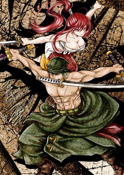 Erza and Zoro One Piece Crossover, One Piece Fairy Tail, Erza Scarlett, Zoro And Robin, All Anime Characters, Anime Group, Naruto Gif, Fairy Tail Ships, Good Anime To Watch