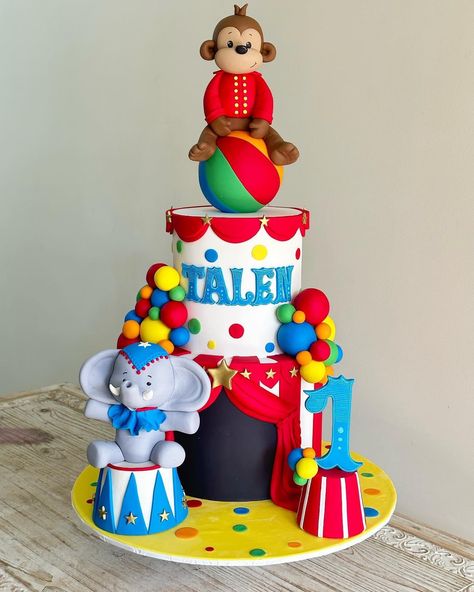 Circus Cake Ideas, Circus Birthday Cake, Plane Birthday, Circus Theme Cakes, Jungle Cakes, Circus Cakes, Carnival Cakes, Boys 1st Birthday Cake, Planes Birthday