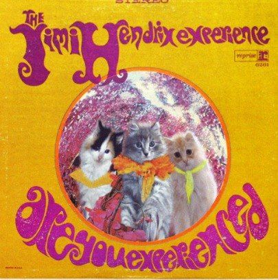 Cats want to rock all night, and meow the rest of the day! We are raising our paws in the air like we just don't care for this kitten album cover art. Famous Album Covers, Classic Rock Albums, Rock Album Covers, Jimi Hendrix Experience, Rock N’roll, Album Cover Art, Music Covers, Silly Cats, Hendrix