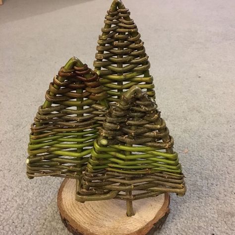 Willow Weave Christmas Tree, Willow Christmas Decorations, Campfire Crafts, Willow Christmas Tree, Willow Crafts, Willow Furniture, Basket Willow, Basket Weaver, Willow Weaving