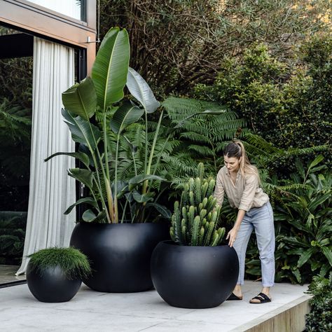 Big Pots In Garden, Diy Front Yard Landscaping Ideas, نباتات منزلية, Potted Plants Outdoor, Fall Planters, Planter Ideas, Outdoor Pots, Patio Decorating Ideas, The Balcony