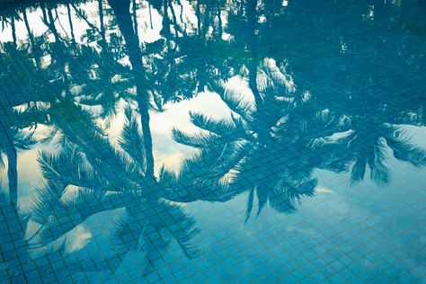 4,714 Pool Photograph With Palm Tree Reflection Photos and Premium High Res Pictures - Getty Images Reflection Aesthetic, Pool Reflection, Reflection Poster, Reflection Photos, View From Above, High Angle, Free Stock Photos Image, Nature Prints, Photo Posters