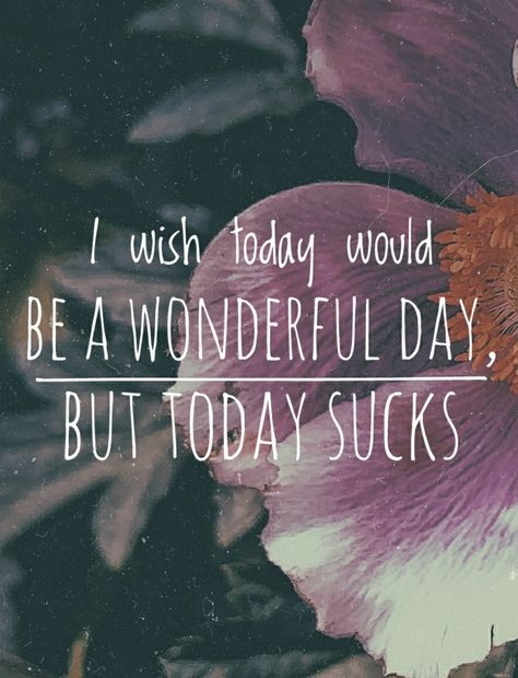 Today sucks #wonderfulday #badday #sarcasm #sarcastic #quote #todaysucks #flower #iwish #today #worstday #sucks #wonderful #day Today Sucked, Sucks Quote, Believe Quotes, Worst Day, Wonderful Day, Acting, Wonder, Quotes, Quick Saves