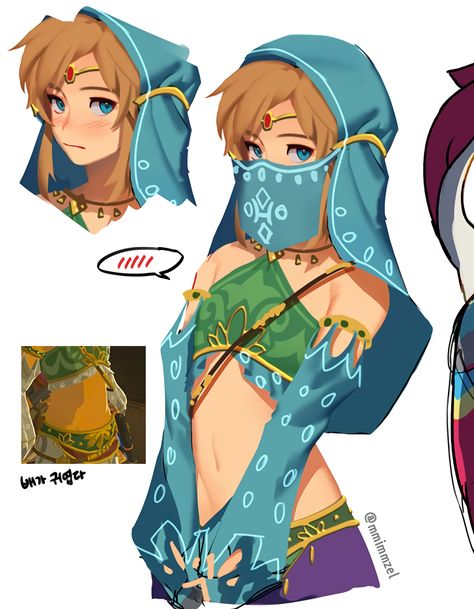 Gerudo Link, Link Cosplay, Botw Zelda, Zelda Funny, Link Zelda, Zelda Art, Legend Of Zelda Breath, Zelda Breath, Twilight Princess