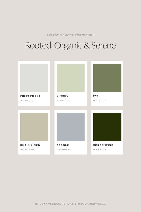 Rooted, organic and serene colour palette inspired by nature Green Branding, Website Color Palette, Yoga Business, Hex Color Palette, Brand Ideas, Green Palette, Color Palette Bright, Earthy Color Palette, Nature Color Palette