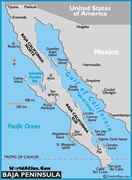 Map of Baja Peninsula by www.worldatlas.com Marine Invertebrates, Alta California, European Explorers, Explore Mexico, John Steinbeck, California Map, Baja California Sur, Cabo San Lucas, Baja California