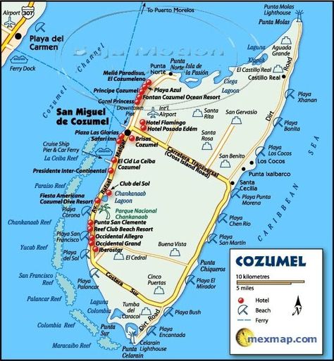 Cozumel Things to do on Your Own - Cozumel My Cozumel Cozumel Mexico Map, Cozumel Map, Cozumel Snorkeling, Cozumel Cruise, Anniversary Cruise, Carribean Cruise, Mexico Map, Western Caribbean, Cozumel Mexico