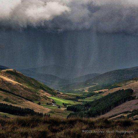 https://flic.kr/p/rp56Sb | Approaching Trouble | Rain clouds advancing up the College Valley (in the Cheviot Hills (on the English side of the border). Crowd Reference, Cheviot Hills, Travel Things, Mural Ideas, Rain Clouds, Peak District, English Countryside, Printable Image, The English