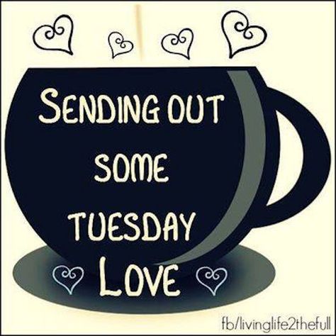 Sending Out Tuesday Love Tuesday Quotes Good Morning, Tuesday Greetings, Tuesday Images, Bon Mardi, Happy Tuesday Quotes, Happy Day Quotes, Good Morning Tuesday, Morning Memes, Tuesday Quotes