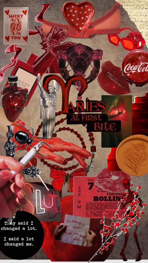 A knife? Are you flirting with me? Red Academia Aesthetic, Red Academia, Everyday Bag Essentials, When Youre In Love, Loving Him Was Red, Rose Gold Wallpaper, Valentines Wallpaper, Stronger Than You Think, Wallpaper Nature Flowers