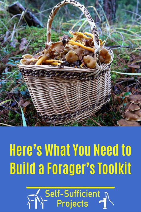 Foraging Essentials, Foraging Supplies, Foraging Tools, Prepper Skills, Sawdust Uses, Wild Onions, Fruit Picker, Survival Ideas, Dandelion Tea