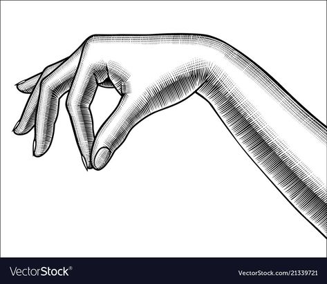 Stylized Drawing, Hand Palm, Drawing Vector, Vintage Drawing, Design Element, Retro Design, Stock Illustration, Vector Images, Vector Free