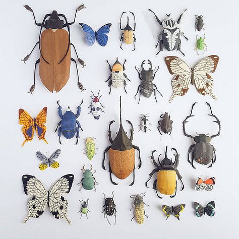 Paper Sculpture Insect Collection by Kate Kato Kate Kato, Stitching On Paper, Paper Christmas Ornaments, Insect Collection, Bug Art, Colossal Art, Paper Birds, Cardboard Art, Insect Art