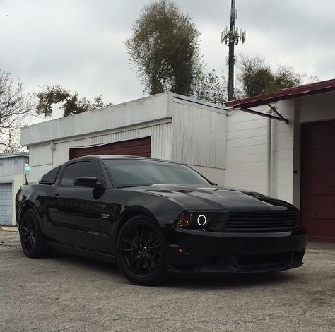 2011 Mustang GT. & those halos! 2014 Mustang Gt 5.0, 2008 Mustang Gt, 2014 Mustang Gt, 2012 Mustang Gt, 2011 Mustang Gt, 2008 Mustang, 2011 Mustang, Black Mustang Gt, Mustang 2006