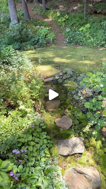 Jess Zander, The Garden Coach🌺 on Instagram: "I interrupt winter for a few moments in the moss garden from last summer💚 Location: our cottage in New Hampshire. I have a moss and shade garden obsession in case you didn’t know that.😁 A few of the plants: astilbe, coral bells, hosta, hellebores, ferns, lamium (non-invasive type) and some impatiens for a little pop of color. #moss #mossgarden #shadegarden #mosslawn #gardening #outdoorshower #youcandoitgardening" Moss Lawn, Farmhouse Fixer, Farmhouse Fixer Upper, Coral Bells, Moss Garden, Backyard Inspo, Outdoor Shower, Shade Garden, New Hampshire