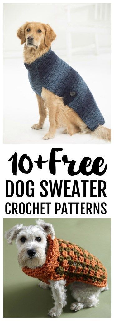 Free Crochet Dog Sweater Patterns. Great beginner project! Free Crochet Dog Sweater, Crochet Dog Sweater Patterns, Sweater Crochet Patterns, Dog Sweater Crochet, Crochet Dog Sweater Free Pattern, Corak Krusye, Crochet Sweater Coat, Crochet Dog Clothes, Dog Coat Pattern