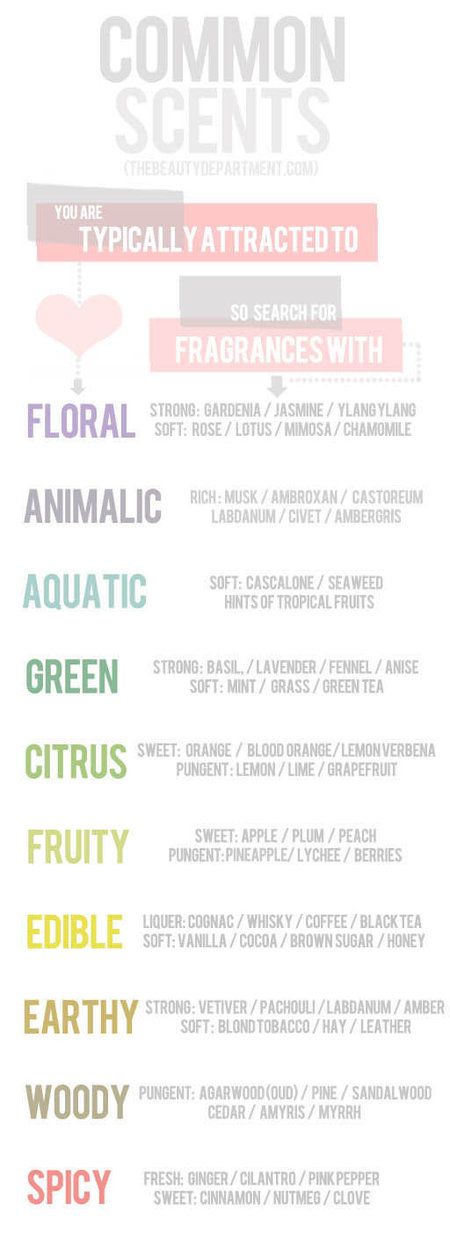 Fragrance Chart: What Scent is Right For You! #beautytips #perfumetips Beauty Infographic, Perfume Versace, Fragrance Packaging, Diy Perfume, Summer Fragrance, Sales People, The Beauty Department, Luxury Fragrance, Aftershave