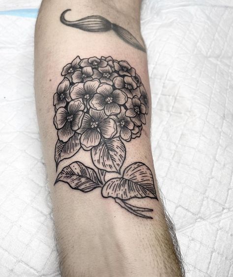 Hydrangea Tattoo Sleeve, Ink Poisoning, Hydrangea Tattoo, Themed Tattoos, Back Tats, Hydrangea Colors, Arm Tattoos, Ink Ideas, American Traditional