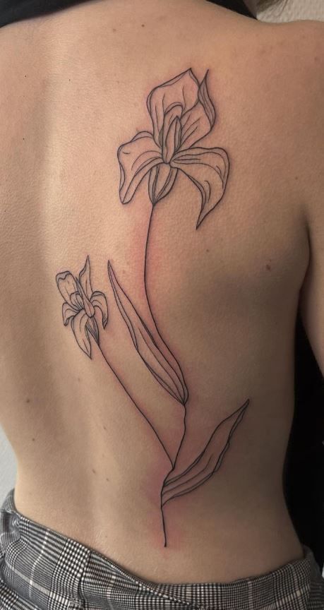 Iris Floral Tattoo, Lilly Back Tattoo Women, Simple Floral Back Tattoo, Wavy Flower Tattoo, Iris Tattoo Line Art, Butterfly With Plant Tattoo, Asymmetrical Back Tattoo Women, Big Poppy Tattoo, Iris Spine Tattoo