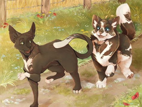 Ravenpaw X Barley, Ravenbarley Warrior Cats, Warrior Cats Power Of Three, Warrior Cats Deaths Art, Warrior Cats Art By Graypillow, M.jay Warrior Cats Art, Warrior Cats Ashfur And Squirrelflight, Warrior Drawing, Warrior Cats Books