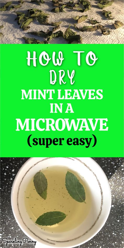 How To Dry Spearmint Leaves, How To Dry Tea Leaves, How To Dry Mint Leaves, Dry Mint Leaves, Drying Mint Leaves, Apple Mint, Canned Apples, Types Of Herbs, Garden Herbs