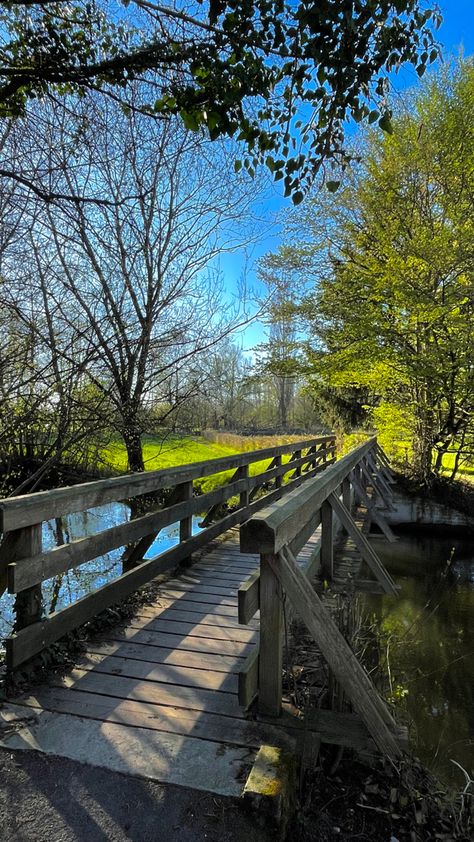 Catch The Sun Jennifer Hartmann, River Bridge Aesthetic, Nature Landscape Aesthetic, Jennifer Hartmann, Aesthetic River, Nature Bridge, Landscape Aesthetic, Small Bridge, Portfolio Project